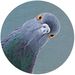 Profile Picture of Chris Best (@PigeonPostStudio) on Pinterest
