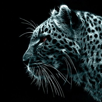 Profile Picture of Selahattin Akture (@akture90) on Twitter