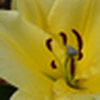 Profile Picture of Andrew Stratton McMurtrie (@Andrew Stratton McMurtrie) on Flickr