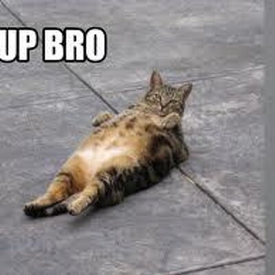 Profile Picture of Abigail Swallow (@abby_swallow) on Twitter