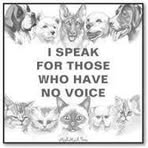 Profile Picture of Chad Parkhurst (@chad.park.798) on Facebook