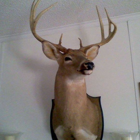 Profile Picture of Vincent Scott (@vincentdeerman) on Poshmark