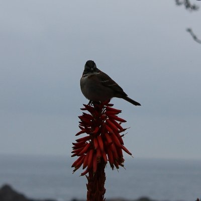 Profile Picture of Àlex Ballester (@8k2studio) on Twitter