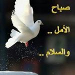 Profile Picture of Anwar Bashir (@halimaliomer095) on Instagram
