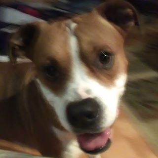 Profile Picture of Robert Piercey (Dick Head) (@rpiercey3dickhead) on Facebook