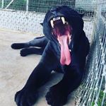 Profile Picture of Tanya Helman (@tanya_helman) on Instagram