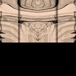 Profile Picture of chrisbaier0 (@chrisbaier0) on Instagram