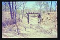 Profile Picture of Stannary Hills Tramwayson Wikipedia