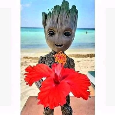 Profile Picture of Noel Velez (@NoelVel48122617) on Twitter