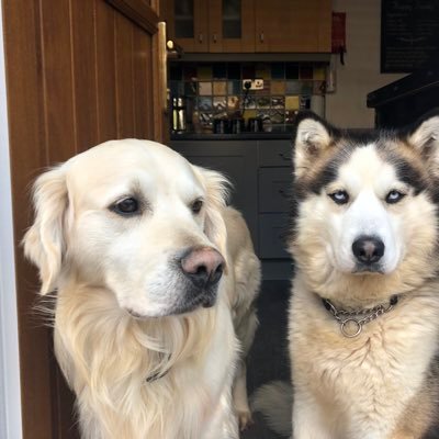 Profile Picture of Carlton Davies (@CarltonDavies4) on Twitter