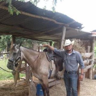 Profile Picture of Alex Enamorado (@alex.enamorado.77398) on Facebook