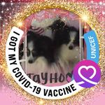 Profile Picture of Christine Flagiello (@baggalcf) on Instagram