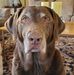 Profile Picture of Doug VandeDrink (@doug.vandedrink.915) on Facebook