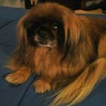 Profile Picture of Zulma Rosario Suarez (@zulmarosario.suarez) on Instagram