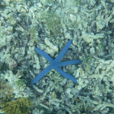 Profile Picture of Jo Bunting (@JoBuntingIsMe) on Twitter