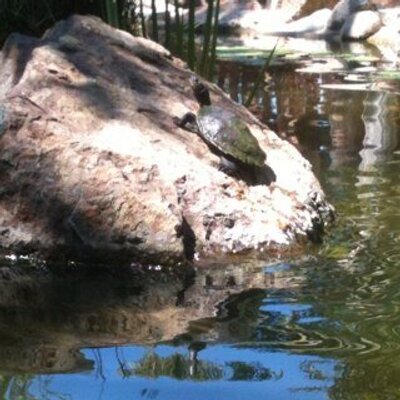 Profile Picture of Erik Sayers (@Ideautomaton) on Twitter