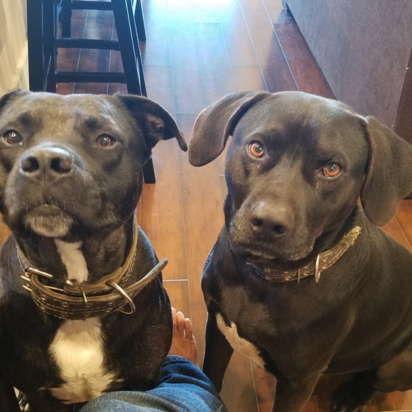 Profile Picture of Andrea Anastacio (@annqa2) on Poshmark