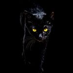 Profile Picture of Victoria Kennedy Photography (@victoriakennedyphotography) on Instagram