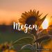 Profile Picture of Megan Alley (@meganrien) on Pinterest