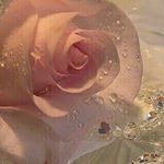Profile Picture of محمد (@mohamd_asaadi) on Instagram