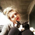 Profile Picture of Jeannine Colangelo (@fantalimette_jc) on Instagram