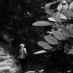 Profile Picture of Hayoung Choi (@hayoungcc) on Twitter