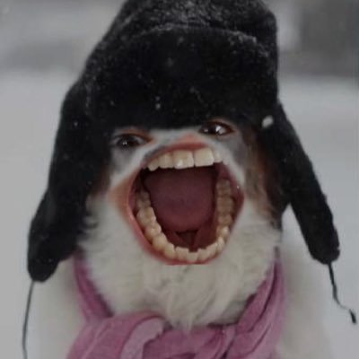 Profile Picture of Jeremy Michaud (@jeremymichaud3) on Twitter