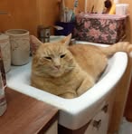 Profile Picture of Robert Puchalski (@Robert-Puchalski) on Facebook