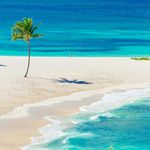 Profile Picture of Andrew Sheng (@andrew.sheng) on Instagram