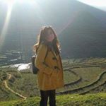 Profile Picture of Quy Phan (@kiwiphan1606) on Instagram