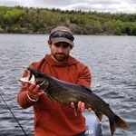 Joe Spratt - Instagram Profile Picture of Joe Spratt (@joe_spratt) on Instagram