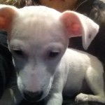 Profile Picture of Cassandra Sampieri (@fabiani_2b3) on Instagram