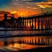 Profile Picture of Danielle Garren (@surferhick06) on Pinterest