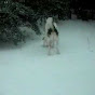 Profile Picture of roder14 (@@roder14) on Tiktok