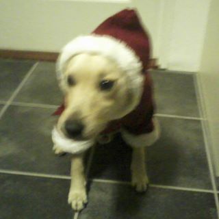 Profile Picture of Alvin Mortensen (@alvin.mortensen.73) on Facebook