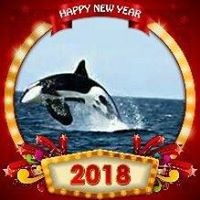 Profile Picture of Robert Haynes (@robert-haynes-66) on Quora