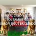 Profile Picture of Javier Riveros (@javier.riveros.3785) on Facebook