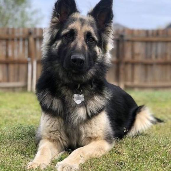 Profile Picture of Fiyinfoluwa Fajemirokun (@fiyinfoluwaf) on Poshmark