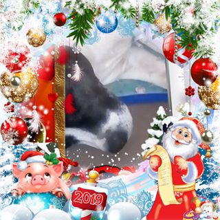 Profile Picture of Terry Mcginness (@terry.mcginness.73) on Facebook
