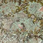 Profile Picture of Alice Denison (@aidenison) on Instagram