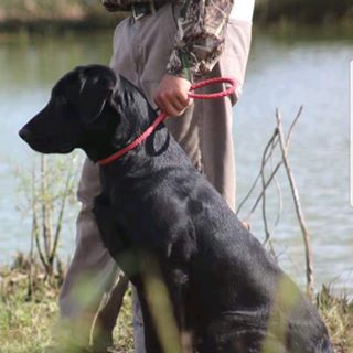 Profile Picture of Joel Hawkland (@Joel-Hawkland) on Facebook