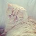 Profile Picture of Coby Genster (@tabea.genster.9) on Facebook