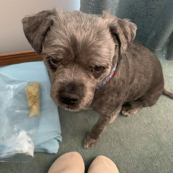 Profile Picture of Nikki Pearce (@nikkipearce440) on Poshmark