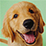 Profile Picture of Mario Xavier Reyes Ortiz Rodo (@mariox_reyes) on Flickr