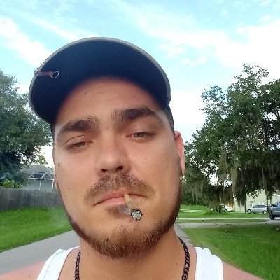 Profile Picture of Michael L Sills (@MichaelLSills1) on Twitter