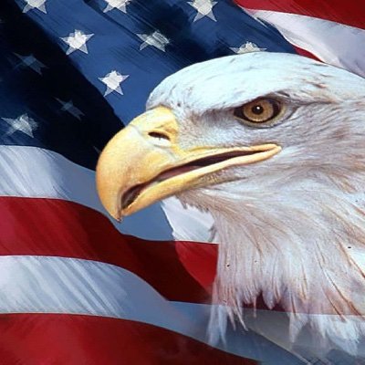 Profile Picture of Frank Alessandro (@FrankAlessand11) on Twitter