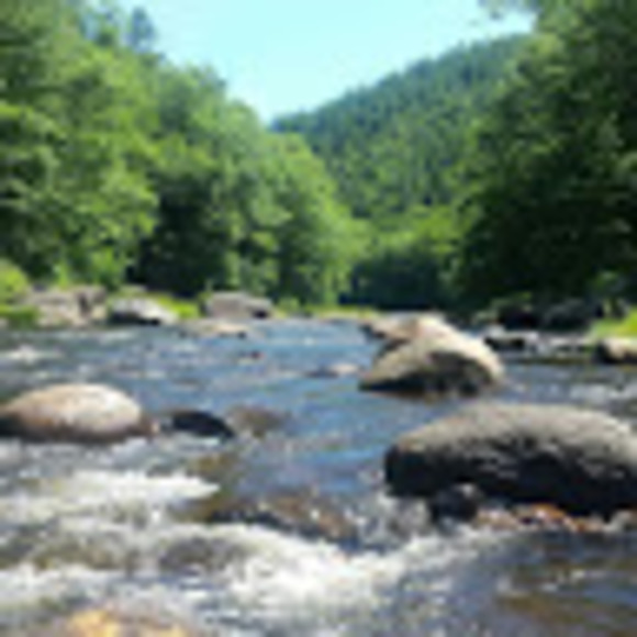 Profile Picture of Adam Newall (@anewall59) on Poshmark