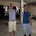 Profile Picture of Alex Krall (@krall.alex) on Instagram