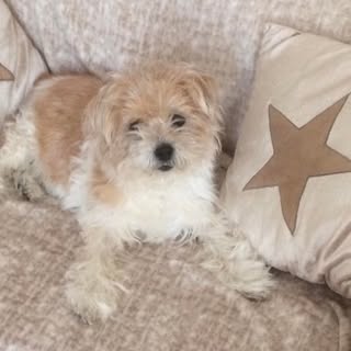 Profile Picture of Tracey Davison (@tracey_davison) on Instagram