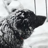 Profile Picture of Leeann Denotter (@leeann-denotter) on Quora
